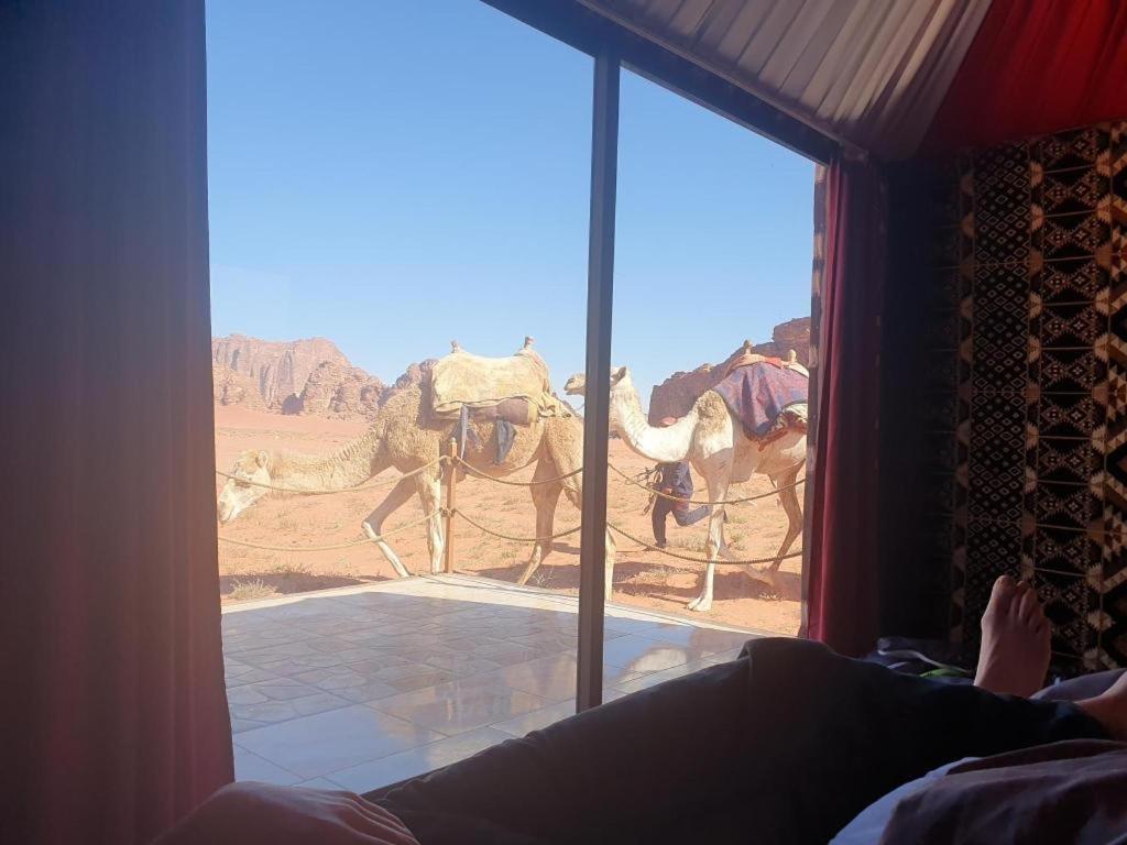Wadi Sky Tours & Camp *